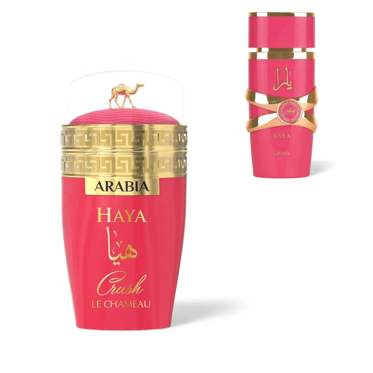 ARABIA HAYA CRUSH